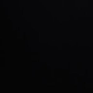 Meet your Posher, Billy